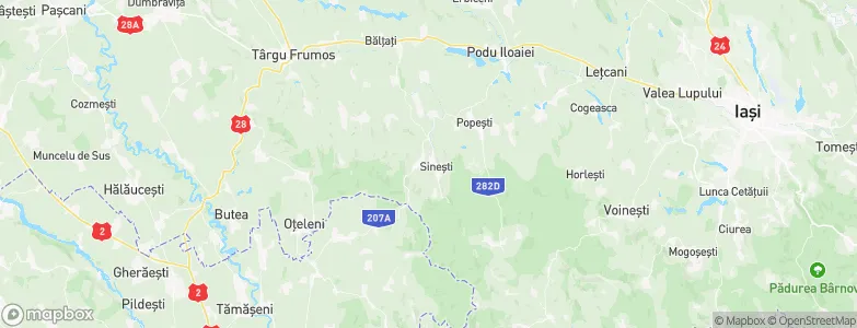 Sineşti, Romania Map