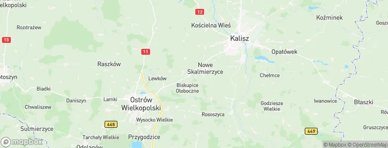 Skalmierzyce, Poland Map
