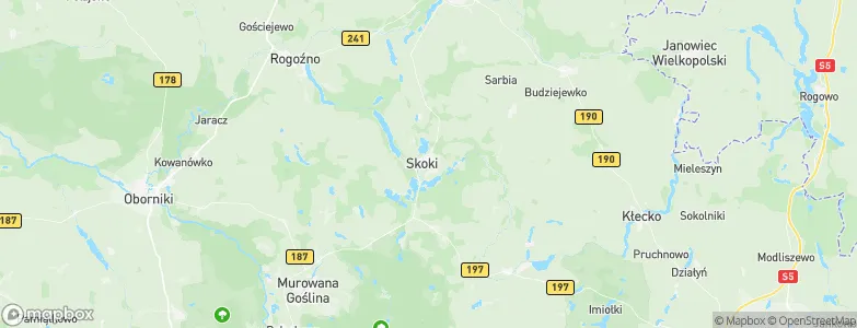 Skoki, Poland Map