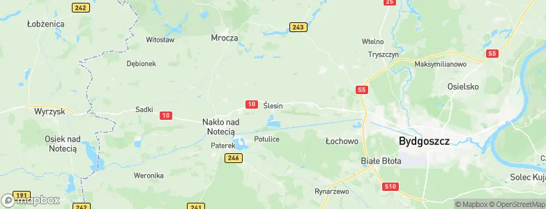 Ślesin, Poland Map