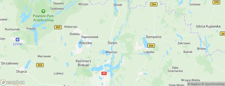 Ślesin, Poland Map