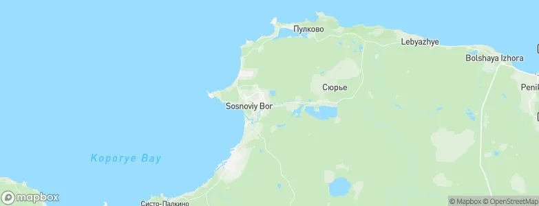 Sosnovyy Bor, Russia Map