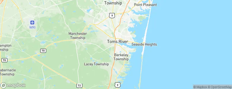South Toms River, United States Map