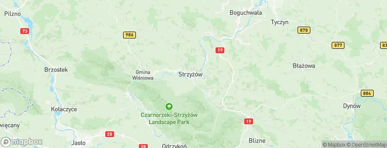 Strzyżów, Poland Map