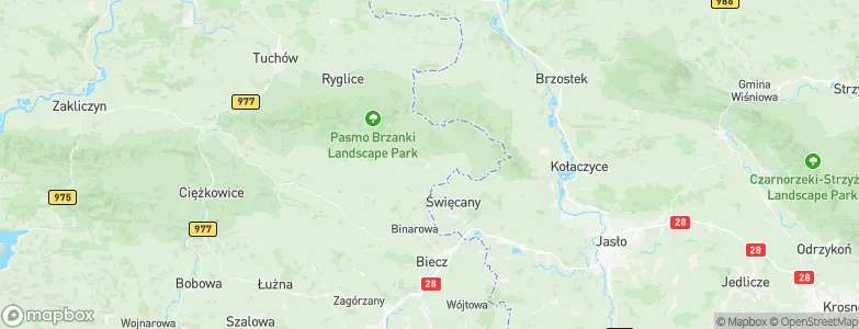 Szerzyny, Poland Map