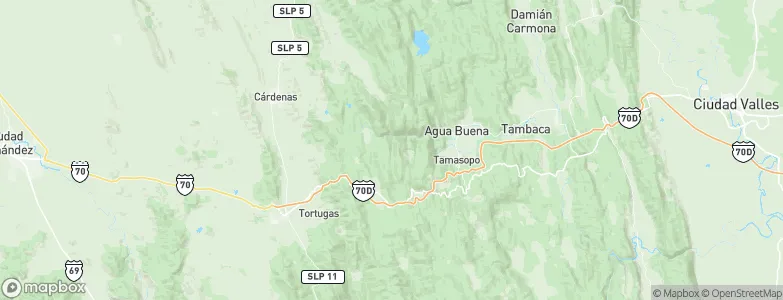 Tamasopo, Mexico Map