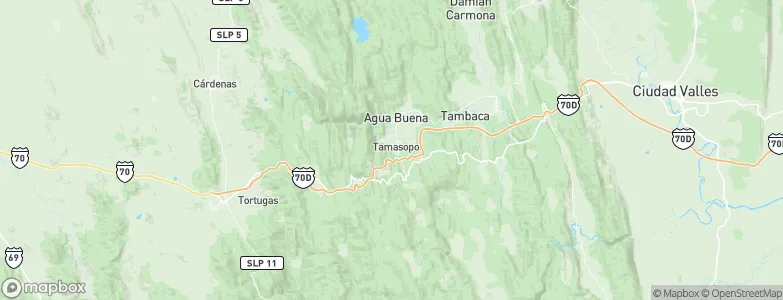 Tamasopo, Mexico Map