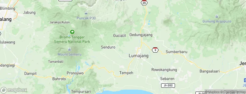 Tanjung, Indonesia Map