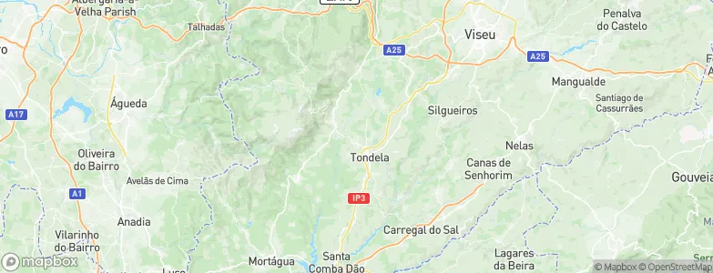 Tondela Municipality, Portugal Map