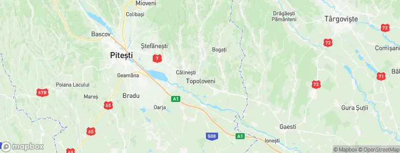 Topoloveni, Romania Map
