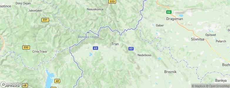 Tran, Bulgaria Map
