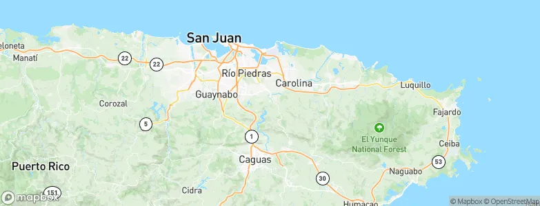 Trujillo Alto, Puerto Rico Map