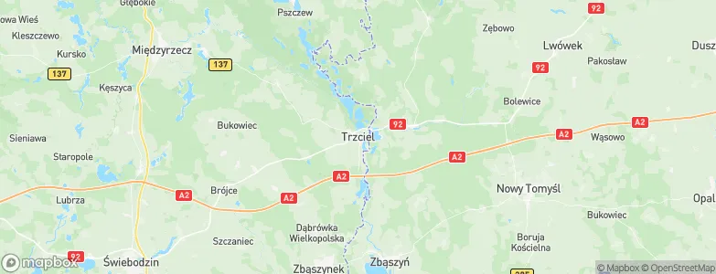 Trzciel, Poland Map