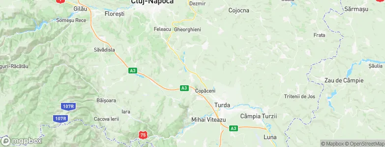 Tureni, Romania Map