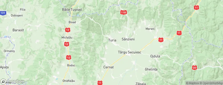 Turia, Romania Map
