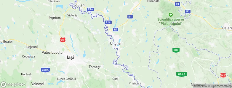 Ungheni, Moldova Map