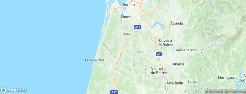 Vagos Municipality, Portugal Map