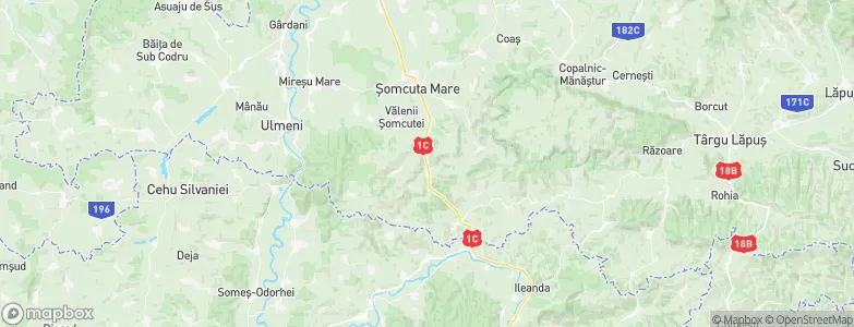 Valea Chioarului, Romania Map