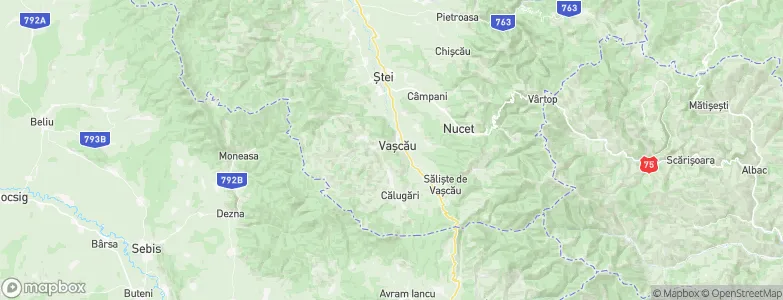 Vaşcău, Romania Map