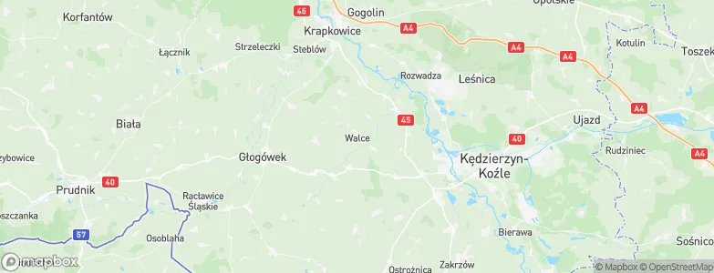 Walce, Poland Map