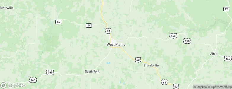 West Plains, United States Map