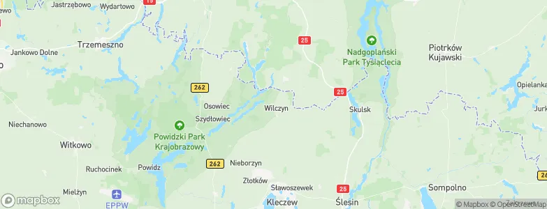 Wilczyn, Poland Map