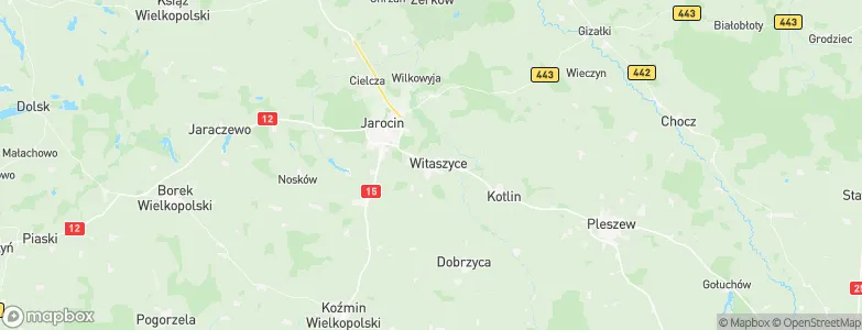 Witaszyce, Poland Map