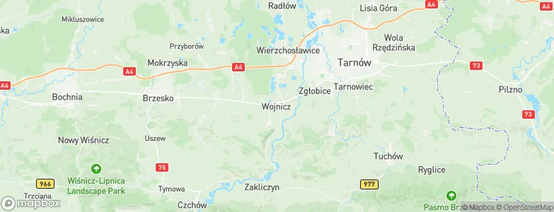 Wojnicz, Poland Map