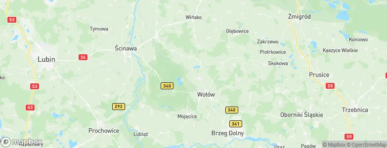 Wołów County, Poland Map