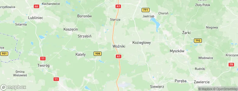 Wożniki, Poland Map