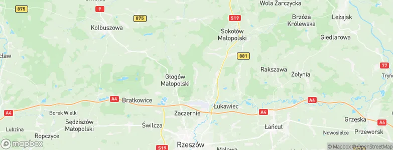 Wysoka Głogowska, Poland Map