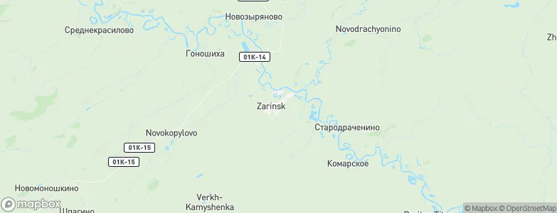 Zarinsk, Russia Map
