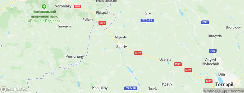 Zboriv, Ukraine Map