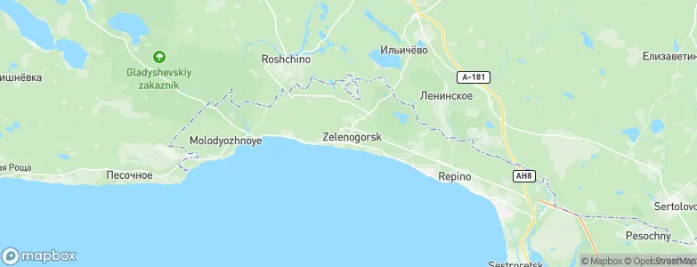 Zelenogorsk, Russia Map