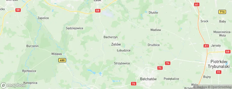 Zelów, Poland Map