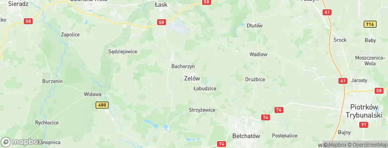 Zelów, Poland Map